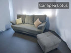 Canapea extensibila ATENA, vedere 5