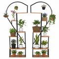 Stand ghiveci AMADIS, negru / stejar