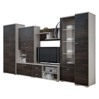 Mobilier living ARS, frasin/stejar american