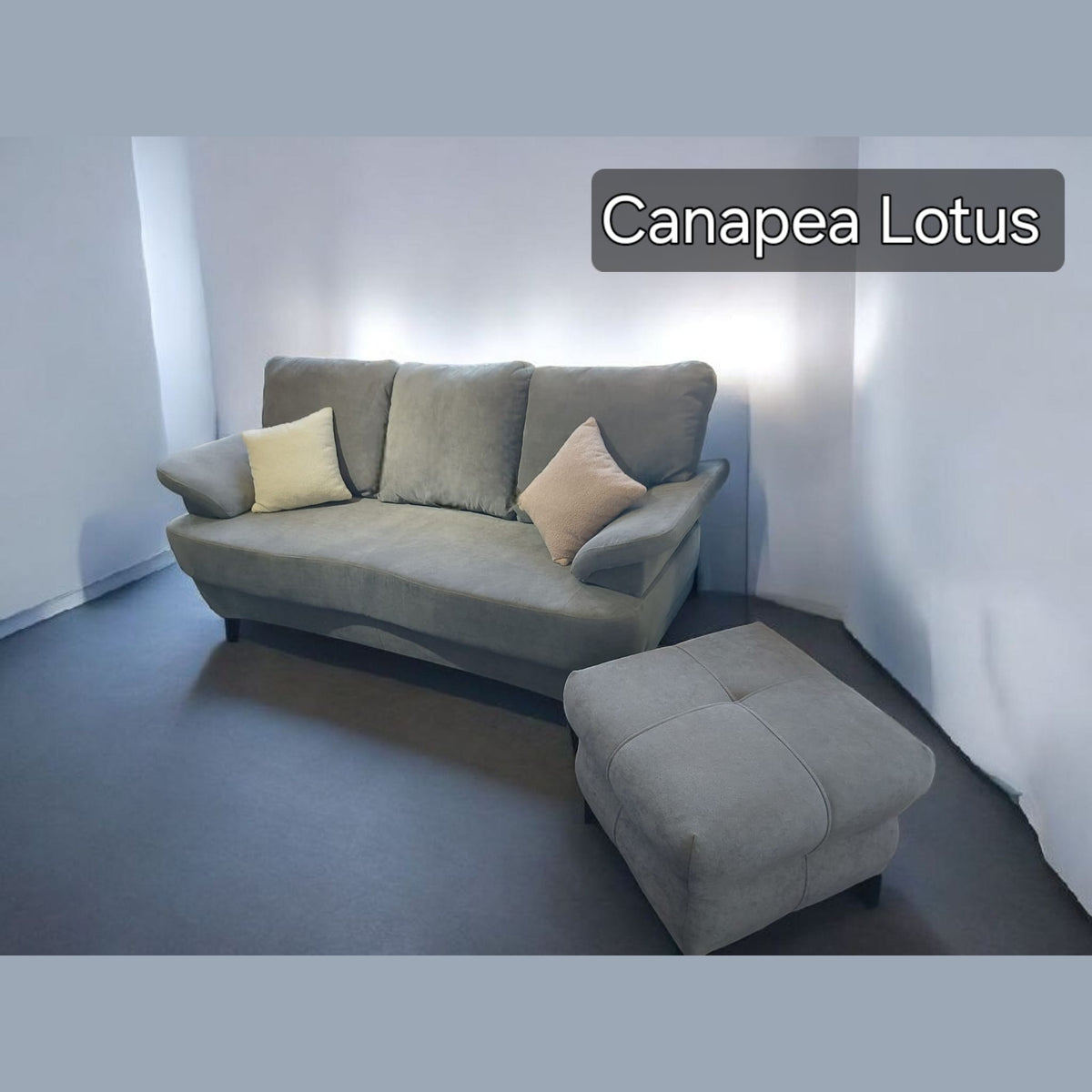 Canapea Lotus în living