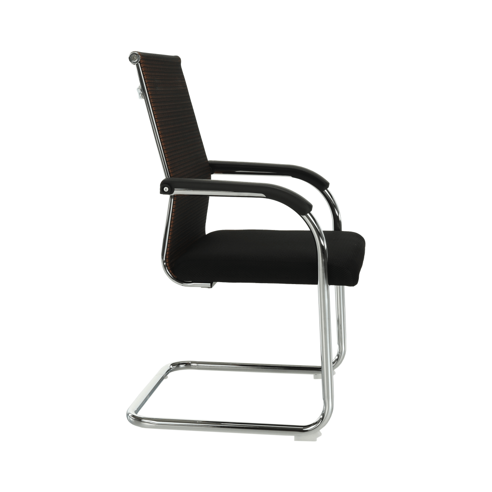 Scaun de sedinta, ESIN