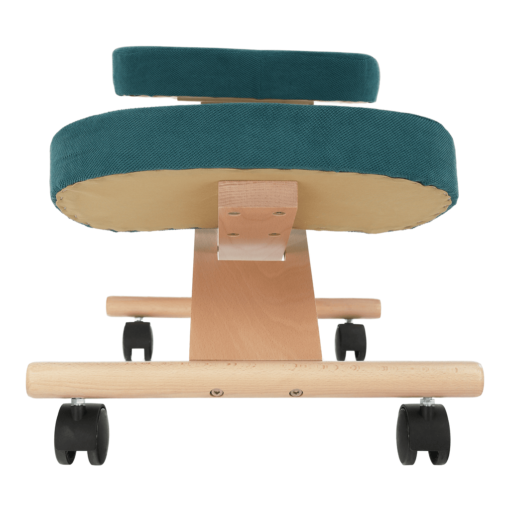 Scaun ergonomic, FLONET