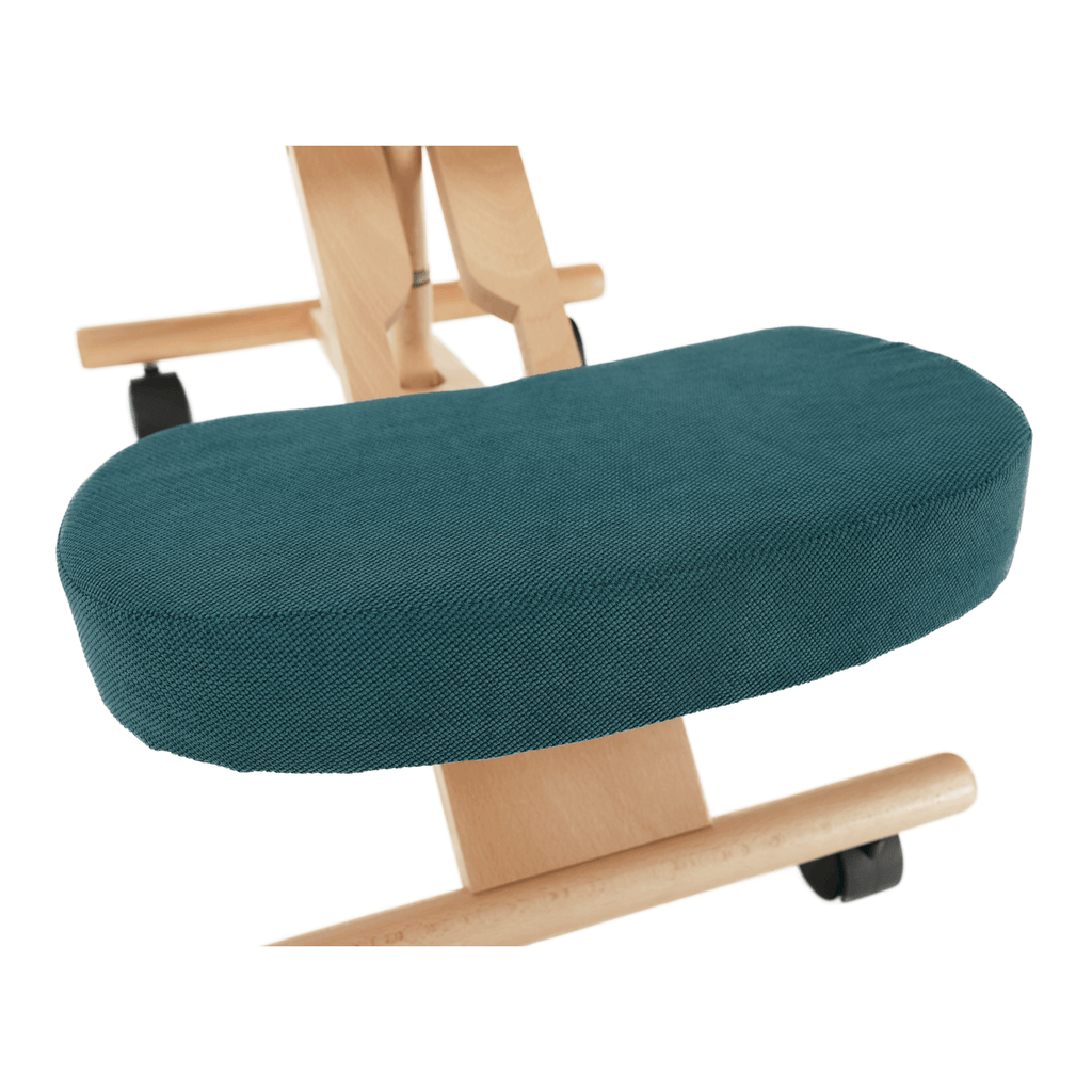 Scaun ergonomic, FLONET