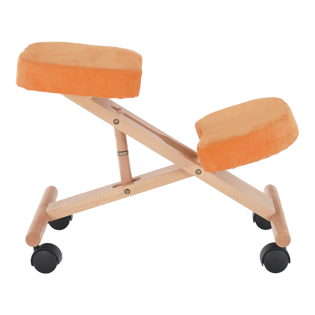 Scaun ergonomic, FLONET