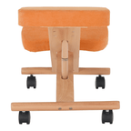 Scaun ergonomic, FLONET