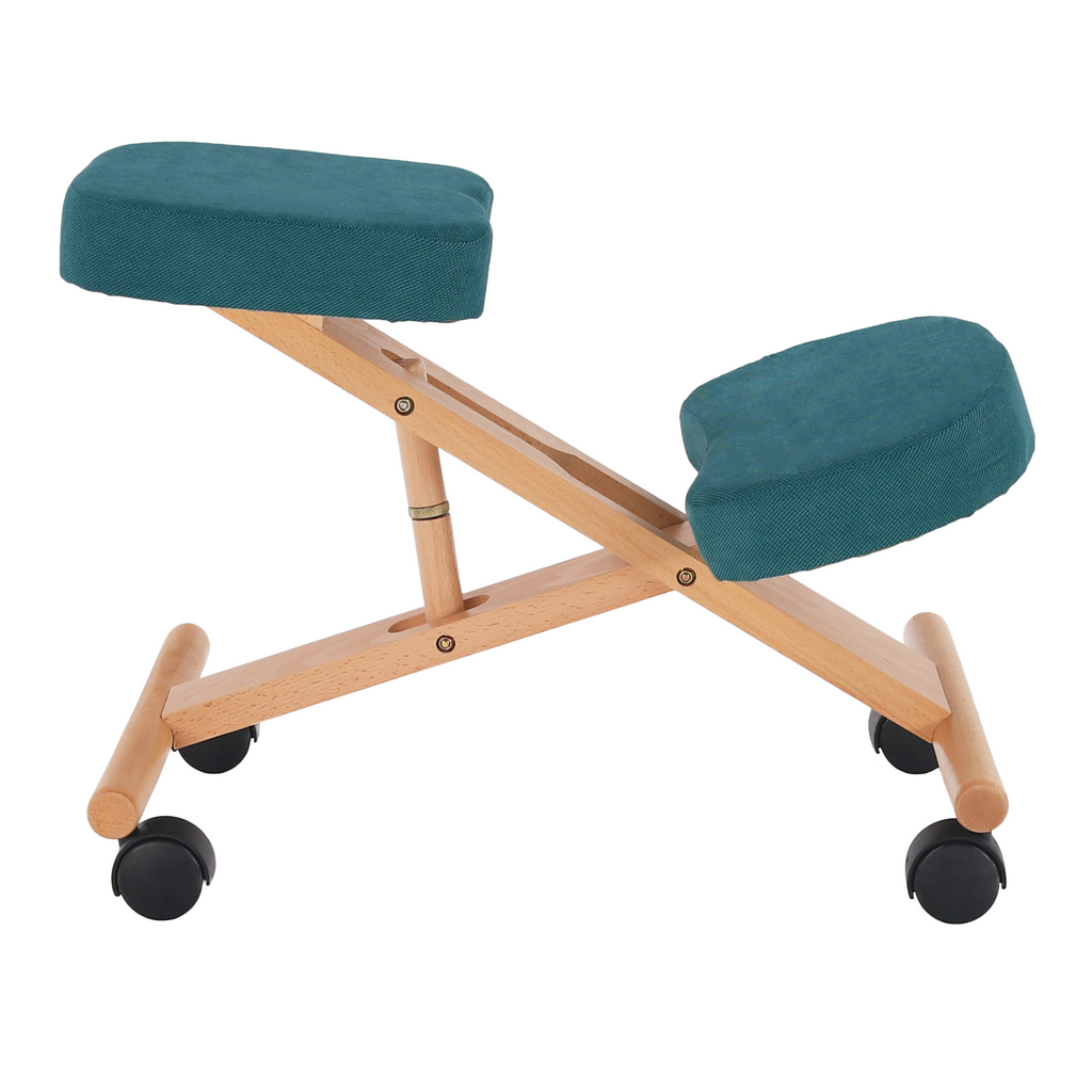 Scaun ergonomic, FLONET