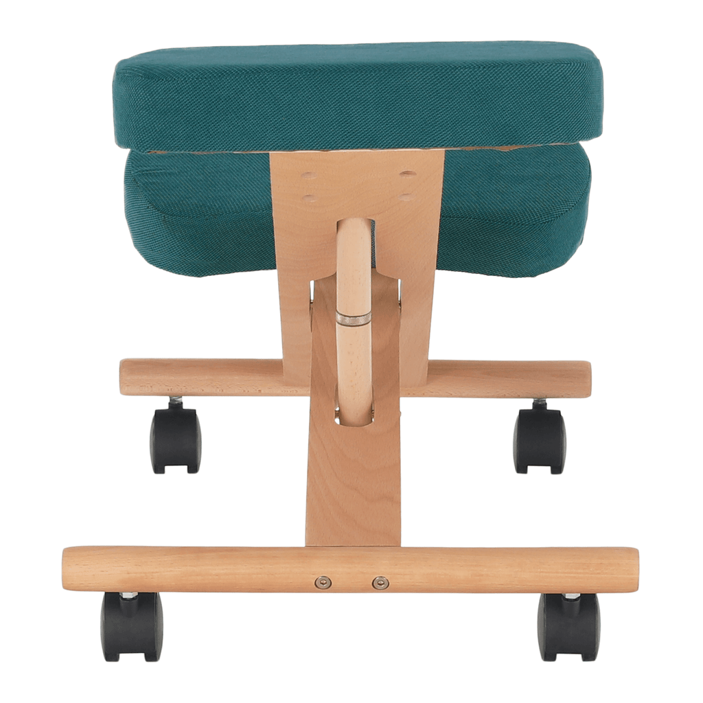 Scaun ergonomic, FLONET