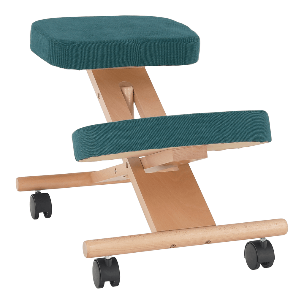 Scaun ergonomic, FLONET