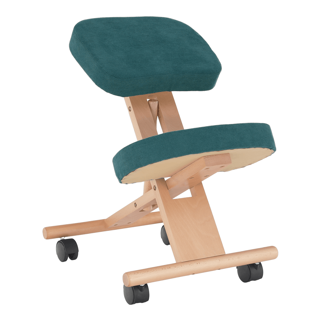 Scaun ergonomic, FLONET