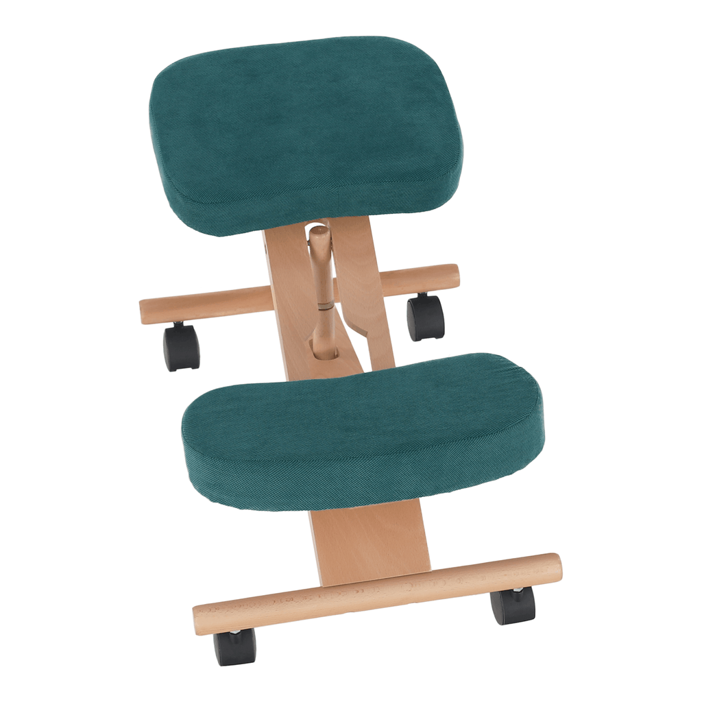 Scaun ergonomic, FLONET