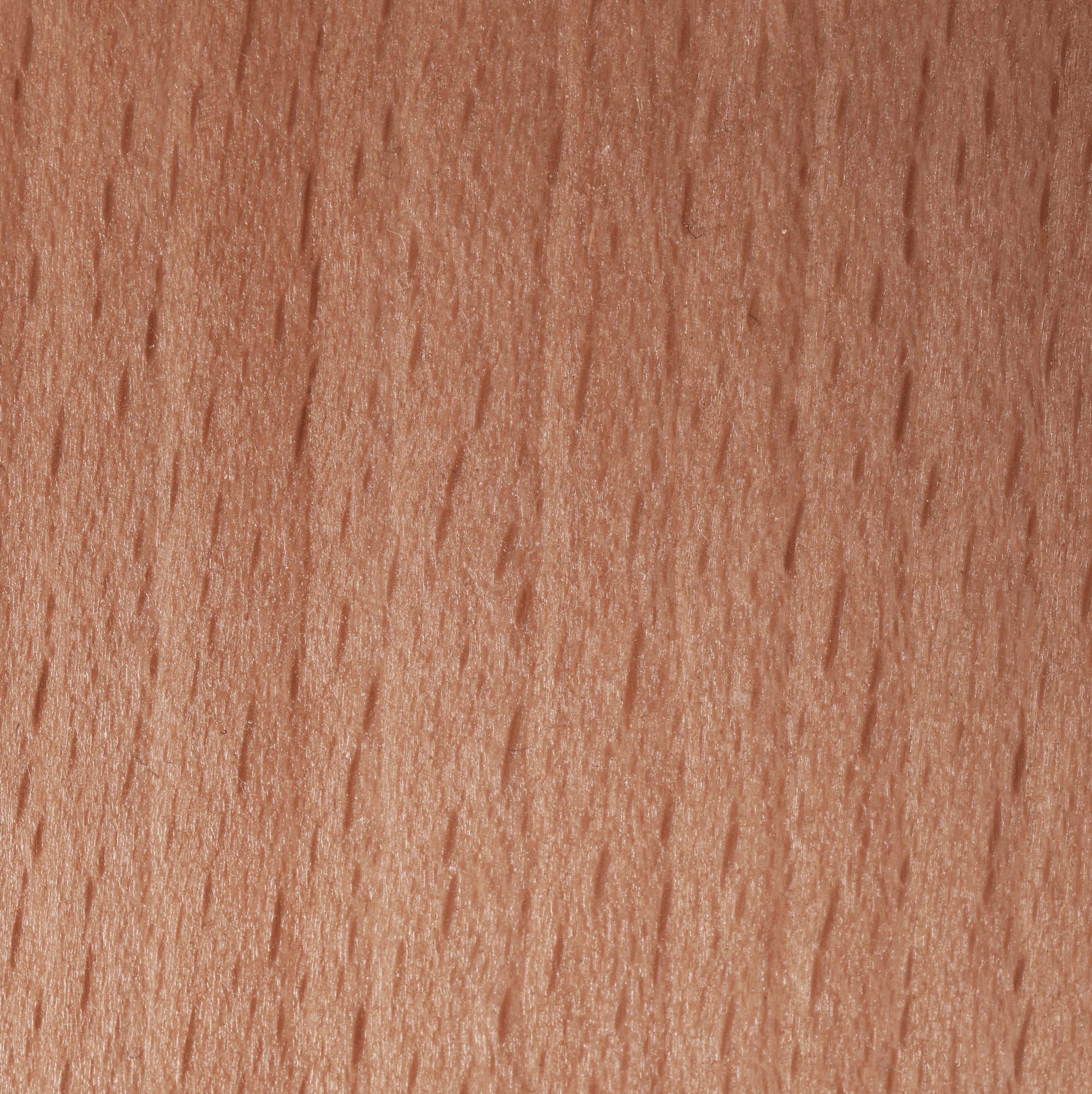 Scaun genunchi ergonomic, gri-maro Taupe / fag, FLONET
