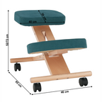 Scaun ergonomic, FLONET