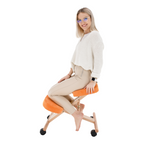 Scaun ergonomic, FLONET