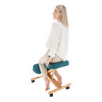 Scaun ergonomic, FLONET