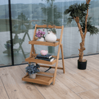 Polita IMPERO, vedere 2