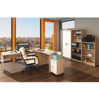 Mobilier de birou Ansambluri pentru birou JOHAN 2 NEW, vedere 2
