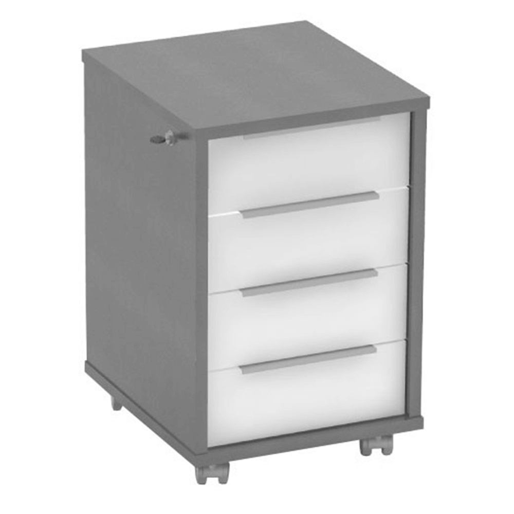 Dulap cu incuietoare grafit/alb RIOMA NEW TYP 30