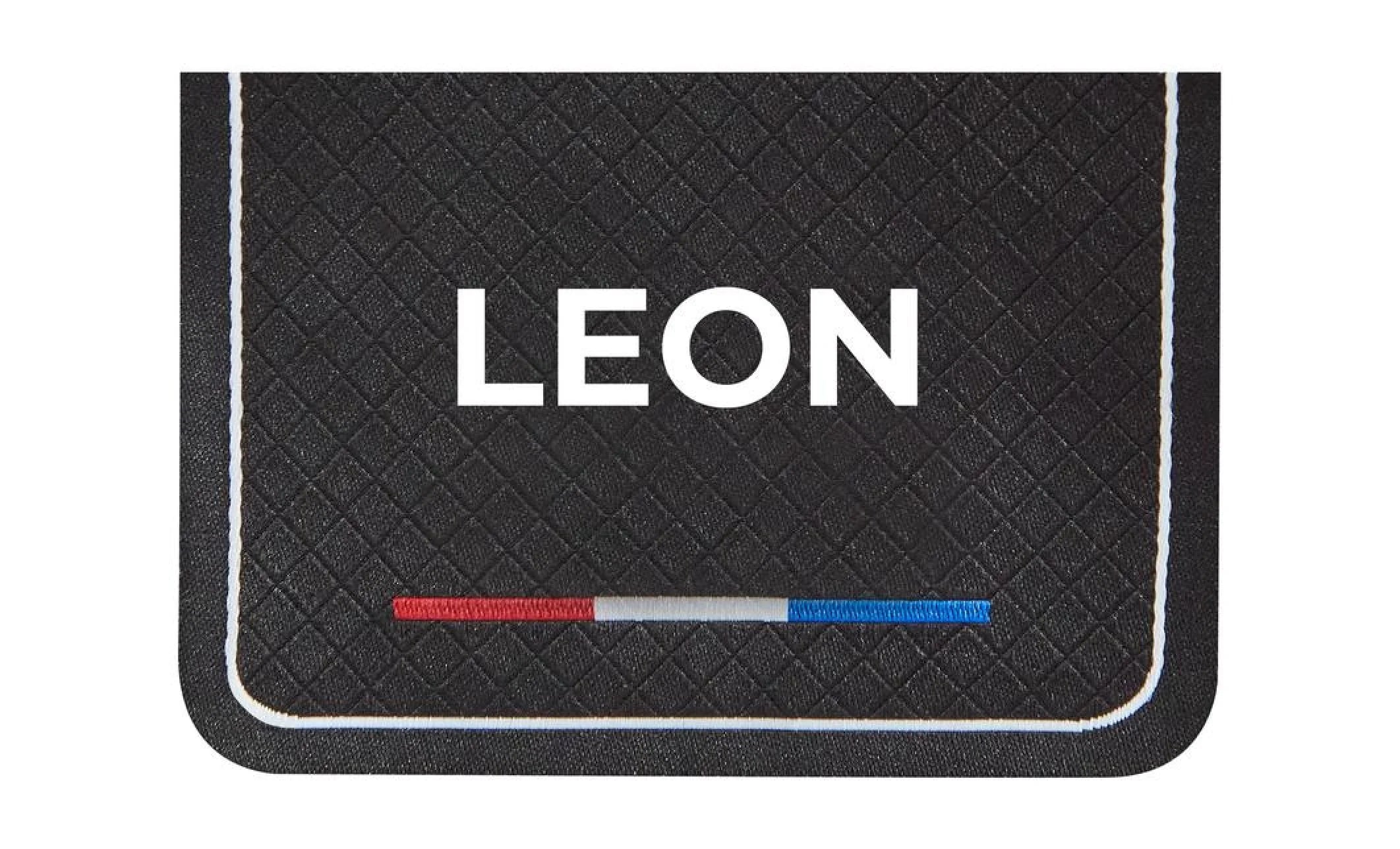 Saltea Leon, vedere 5