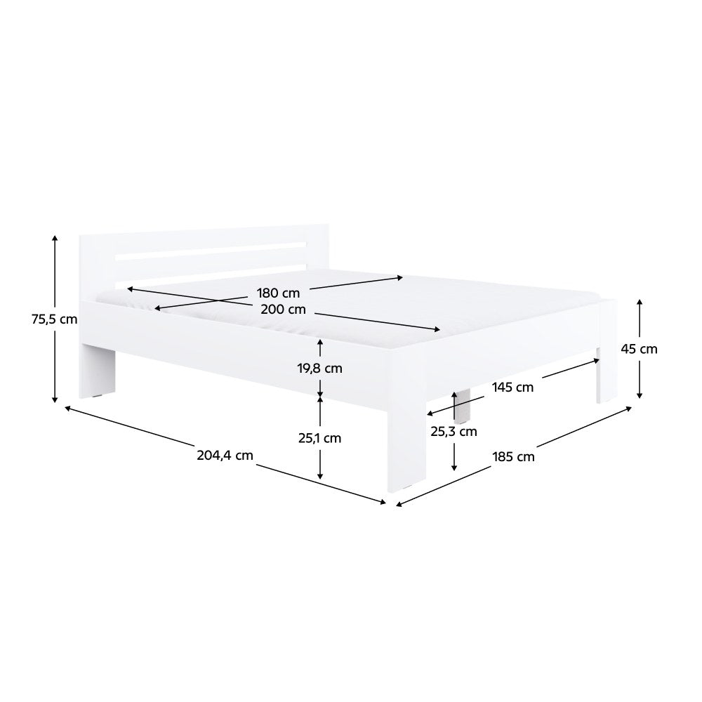 Pat Basis – schiță cu dimensiuni