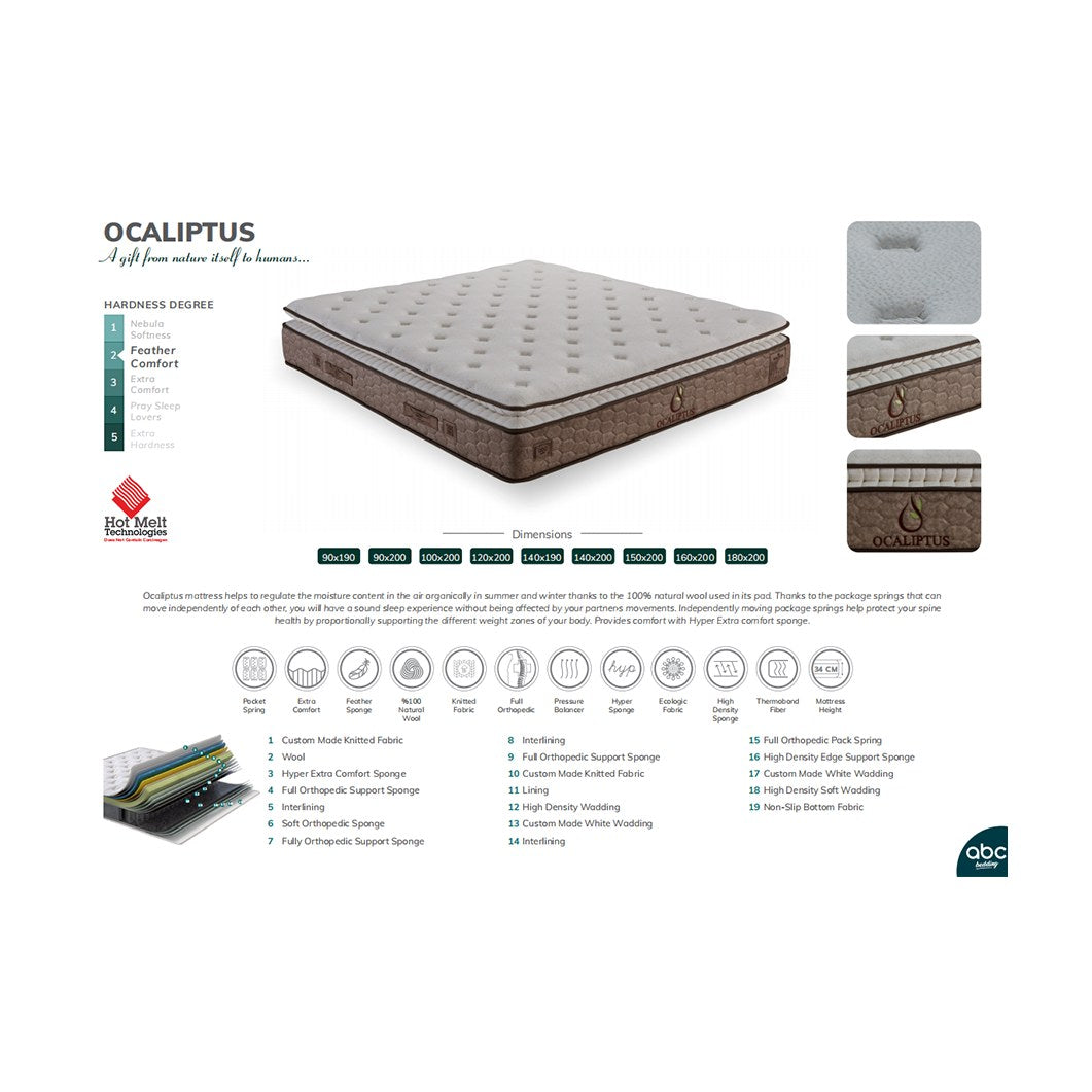 Pat Ocaliptus – schiță cu dimensiuni