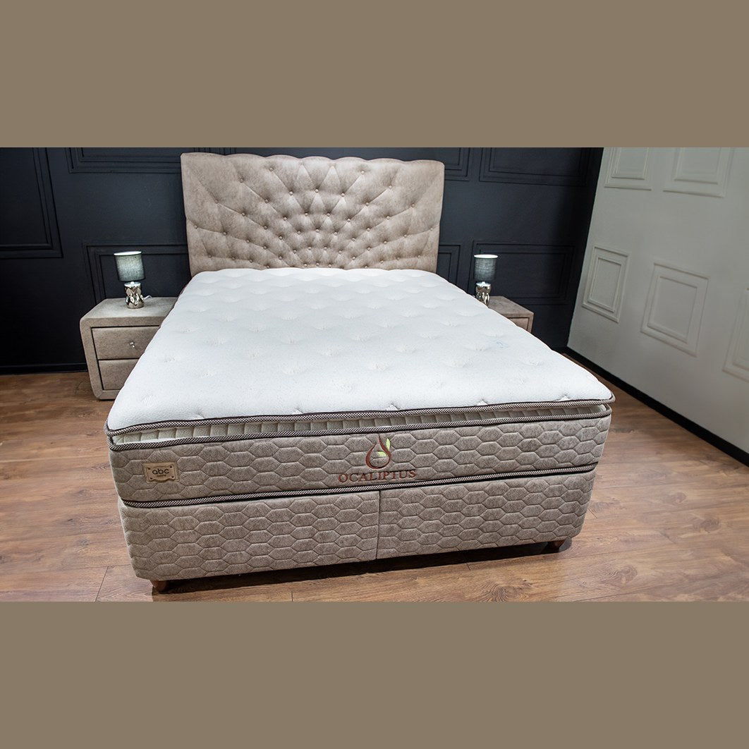 Pat Ocaliptus în dormitor, imaginea 2