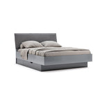 Pat Teo, gri, vedere din față