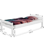 Pat LIVIO, vedere 5