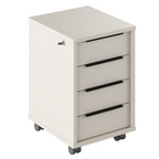 Dulap cu incuietoare RIOMA NEW TYP 30, casmir