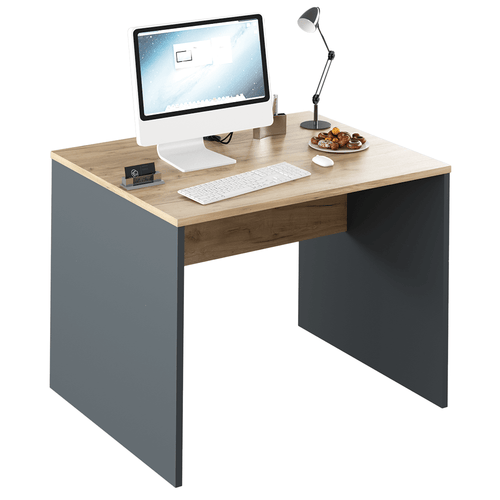 Birou PC RIOMA, grafit / stejar artisan
