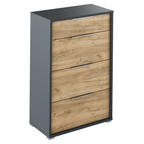 Scrin cu sertare RIOMA NEW TYP 22, grafit/stejar artizanal