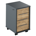 Recipient cu lacat RIOMA NEW TYP 30, grafit/stejar artizanal