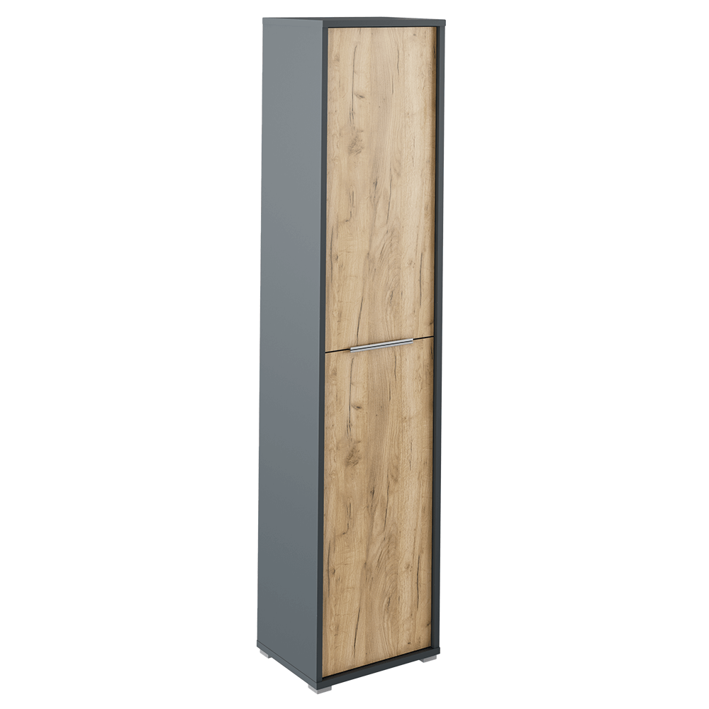 Dulap inalt cu polite RIOMA NEW TYPE 06, grafit/stejar artizanal