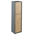 Dulap cu polite RIOMA NEW TYP 08, grafit/stejar artizanal