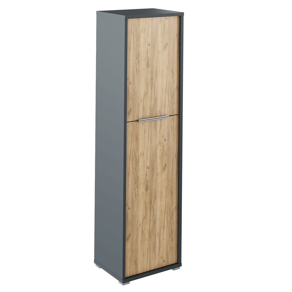 Dulap cu polite RIOMA NEW TYP 08, grafit/stejar artizanal