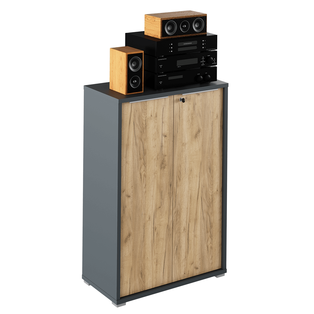 Dulap RIOMA NEW TYP 09, grafit/stejar artisan