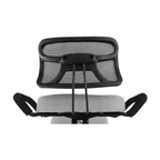 Scaun de ingenunchiere ergonomic, gri-maro Taupe / negru, RUFUS