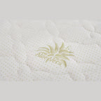 Straturile saltelei Bonell Aloe Vera – arcuri bonnell, imaginea 7