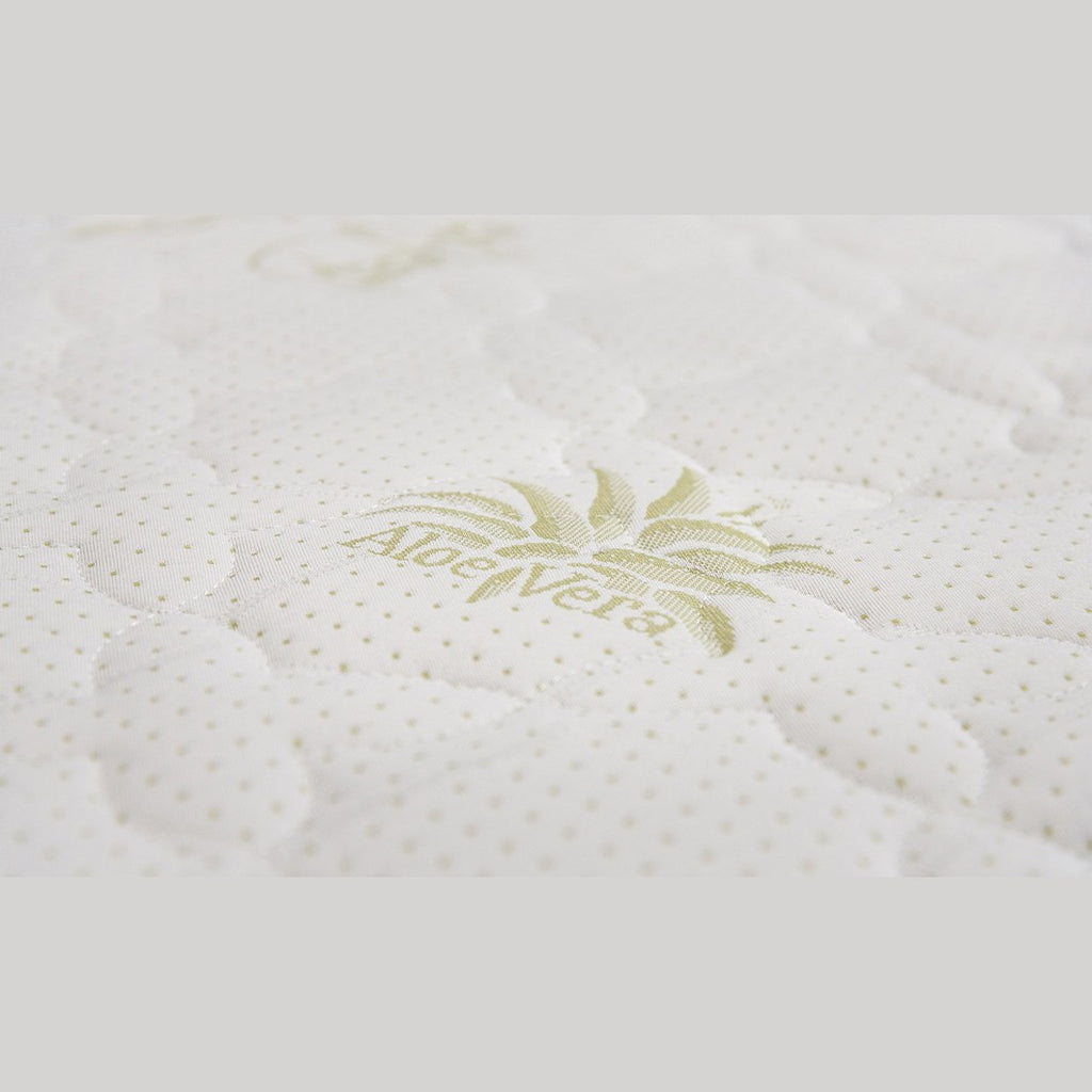 Straturile saltelei Bonell Aloe Vera – arcuri bonnell, imaginea 3
