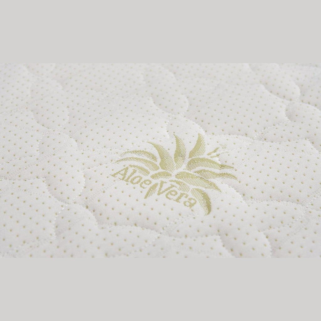 Straturile saltelei Bonell Aloe Vera – arcuri bonnell, imaginea 7