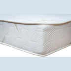 Straturile saltelei Bonell Aloe Vera – arcuri bonnell, imaginea 3