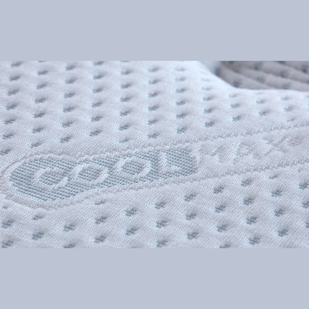 Straturile saltelei Hamilton, imaginea 2