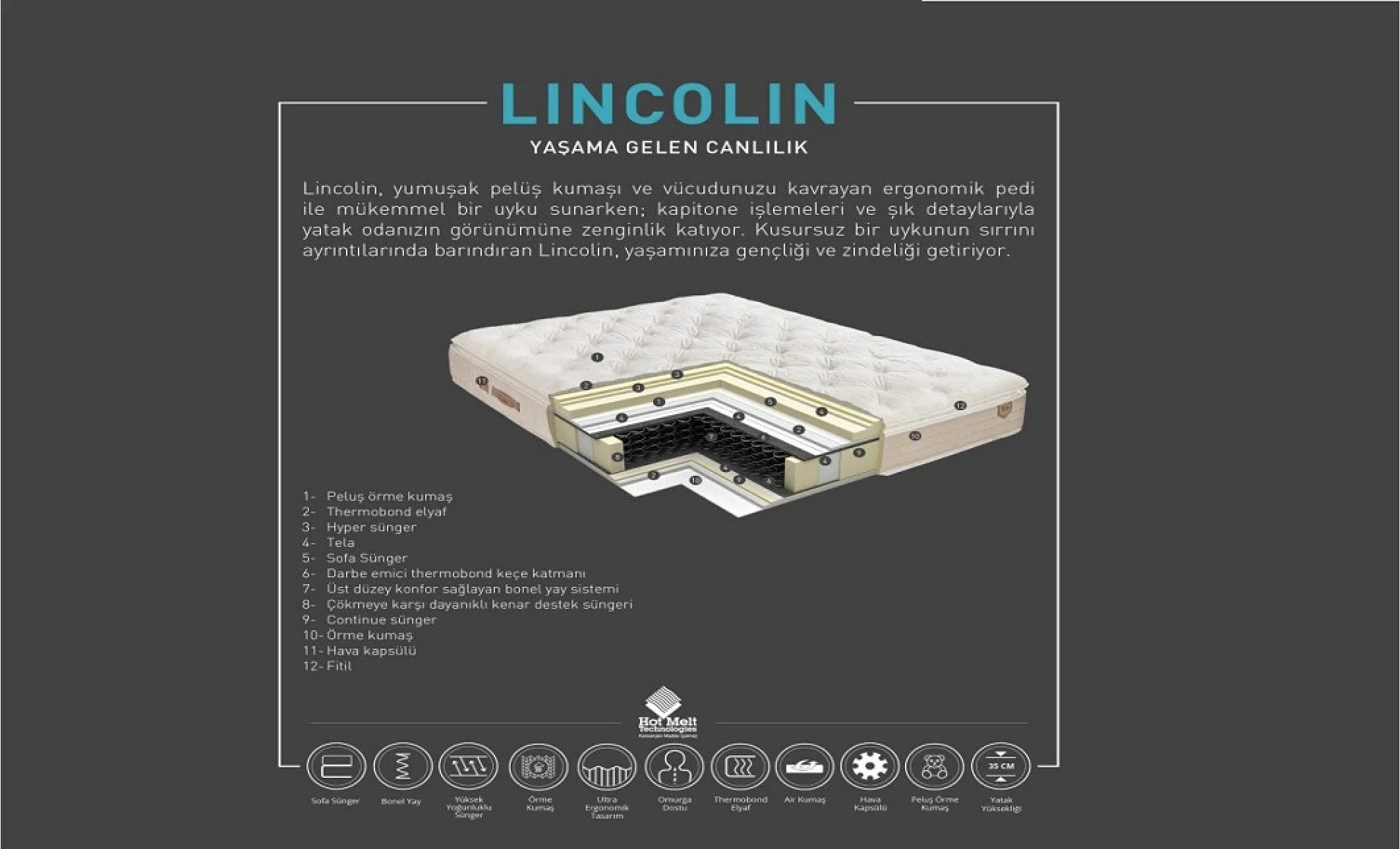 Saltea Lincolin, vedere 4