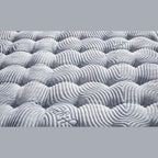 Straturile saltelei Melodie