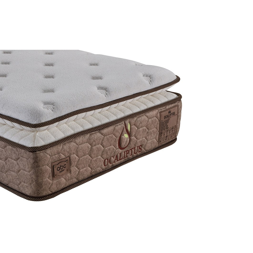 Straturile saltelei Ocaliptus – arcuri pocket
