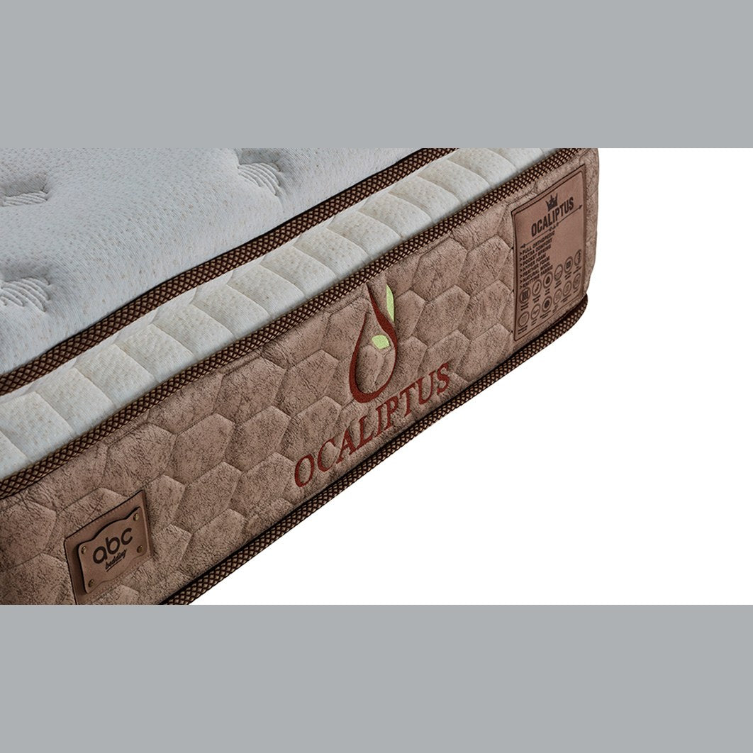 Straturile saltelei Ocaliptus – arcuri pocket, imaginea 4