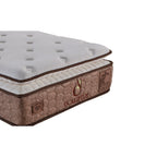 Straturile saltelei Ocaliptus – arcuri pocket, imaginea 5