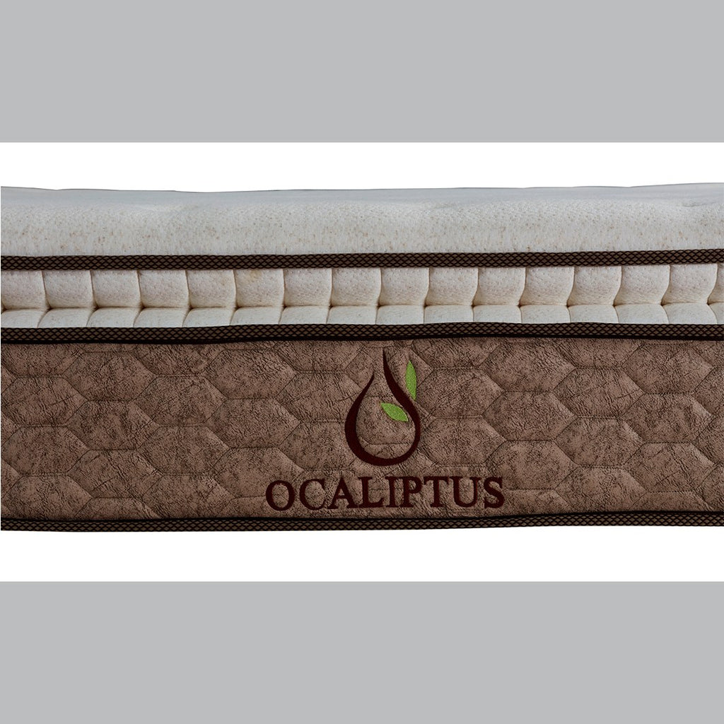 Straturile saltelei Ocaliptus – arcuri pocket, imaginea 2