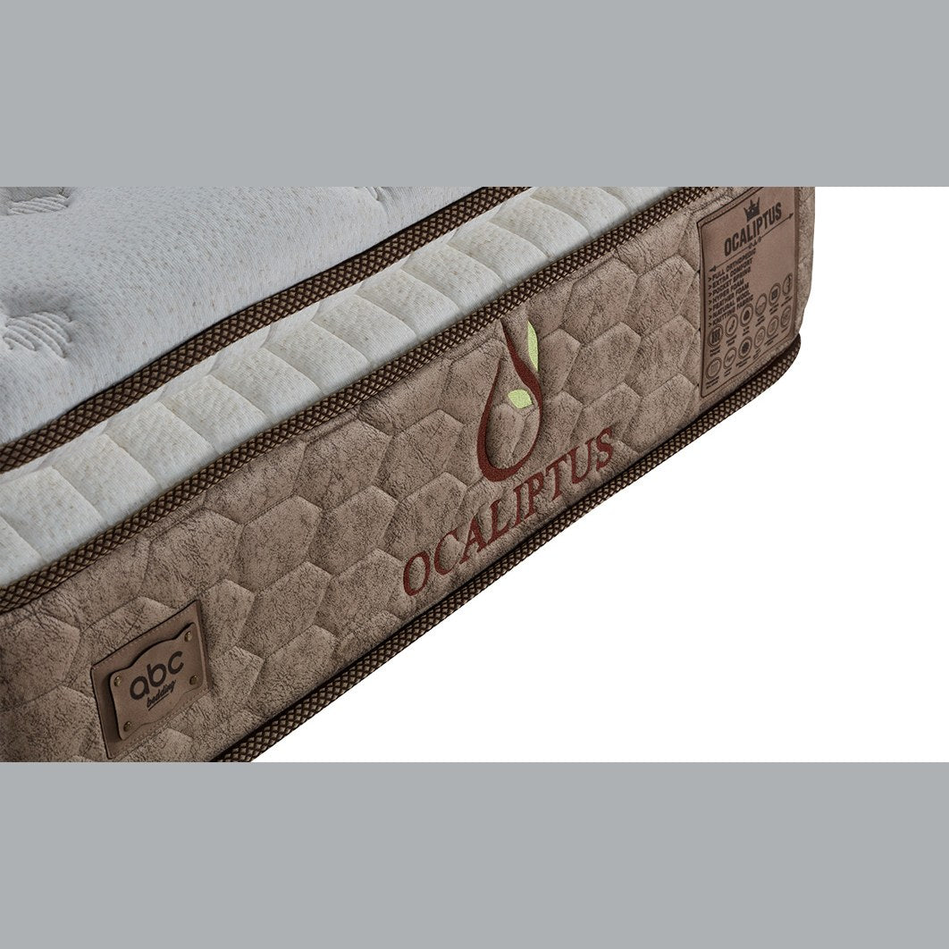 Straturile saltelei Ocaliptus – arcuri pocket, imaginea 2