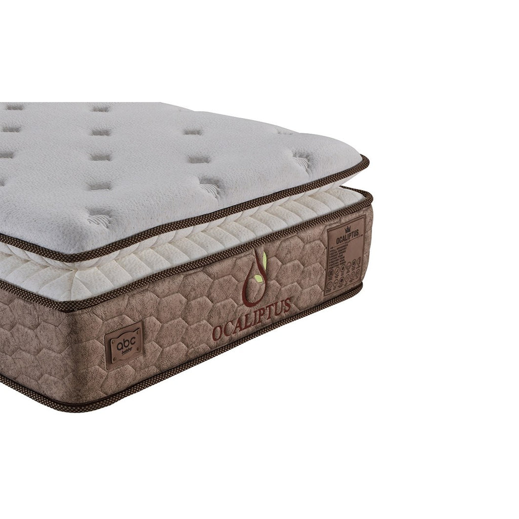 Straturile saltelei Ocaliptus – arcuri pocket