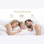 Straturile saltelei Silver – arcuri